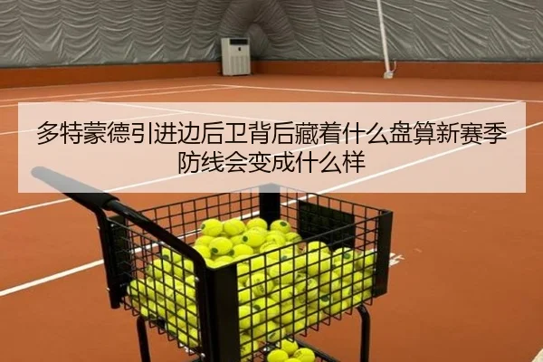多特蒙德引进边后卫背后藏着什么盘算新赛季防线会变成什么样